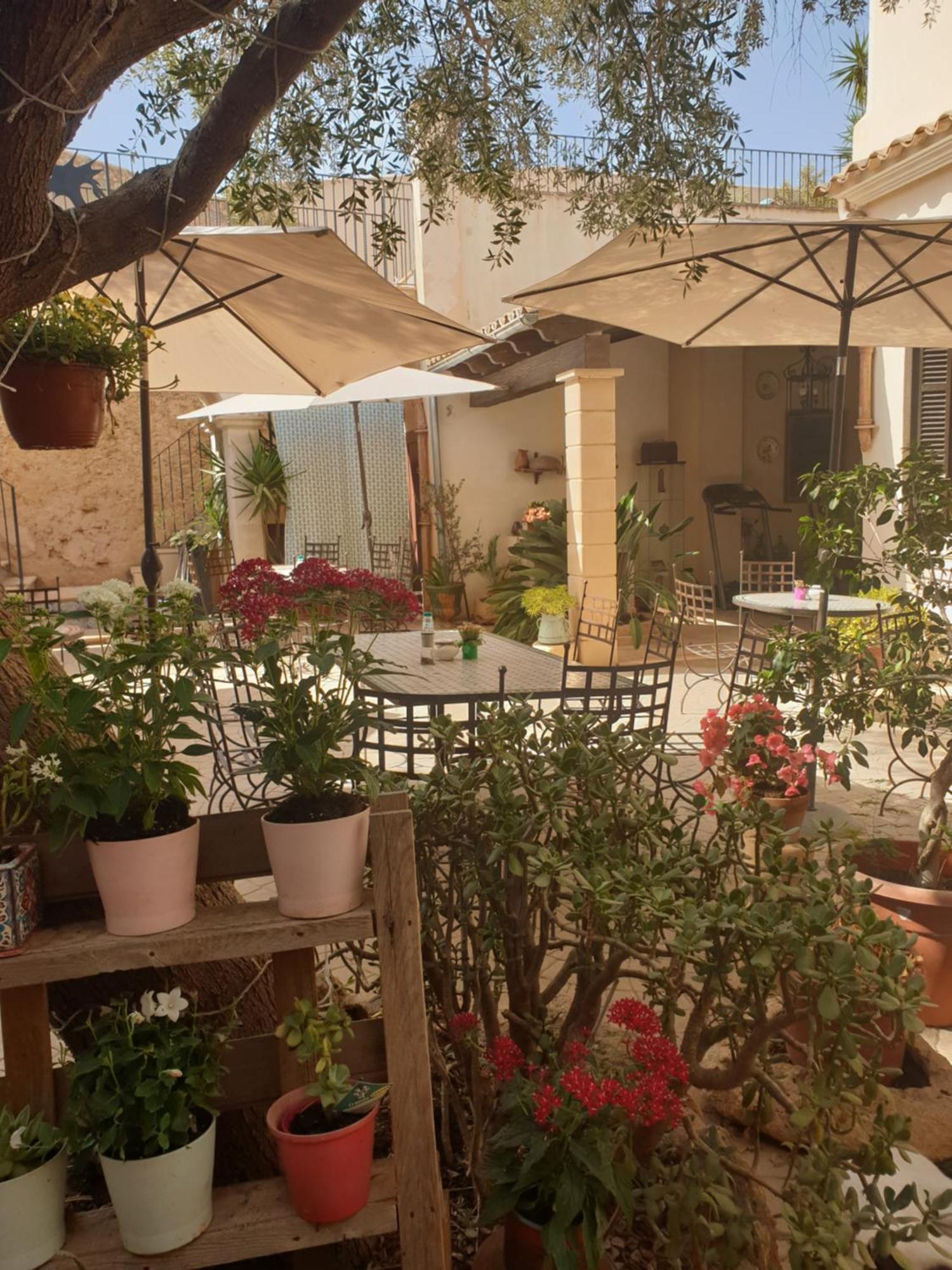 Hotel Segles - Turismo De Interior Campos  Εξωτερικό φωτογραφία