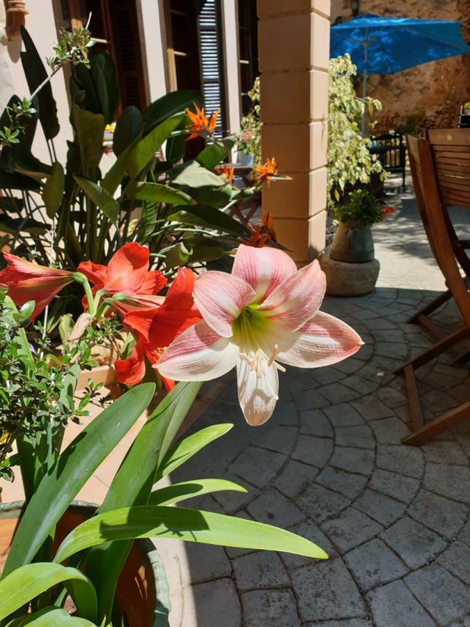 Hotel Segles - Turismo De Interior Campos  Εξωτερικό φωτογραφία